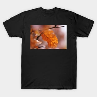 Copper Beech Glow T-Shirt